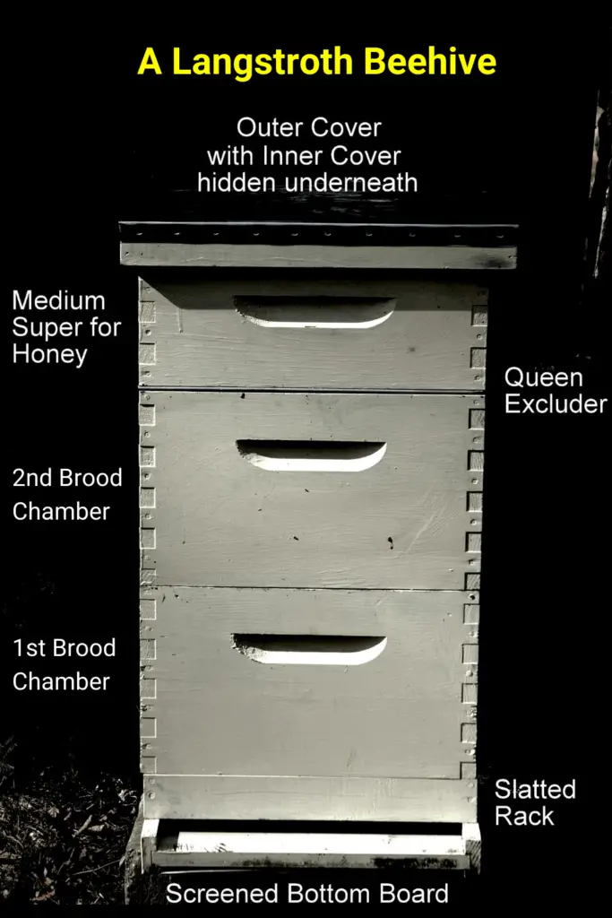 A Langstroth Beehive