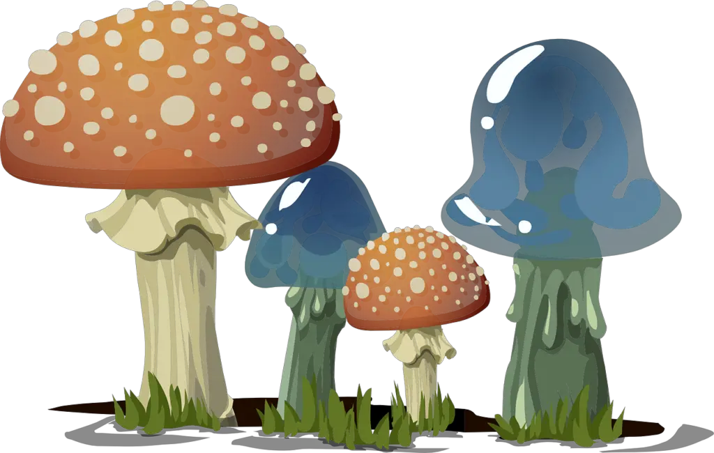 Mushroom toadstools (Fungi)