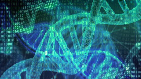 what is the difference between the structure of nucleic acids and proteins
