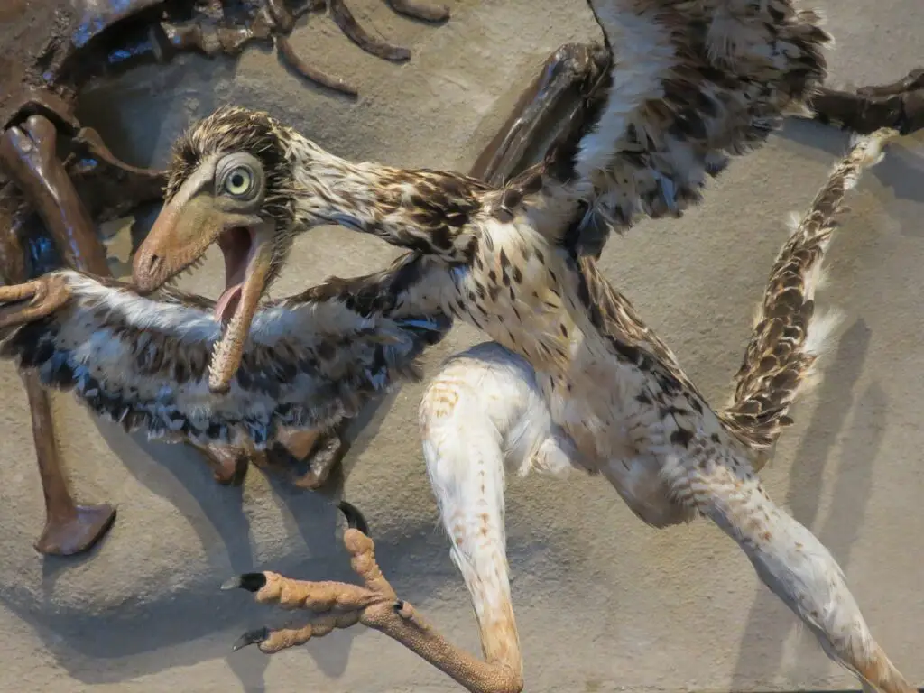 A non-living model of the extinct Archaeopteryx