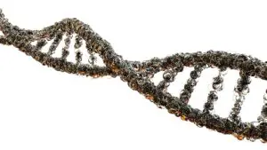 Why Is Everyone’s DNA Different? Let’s Know!