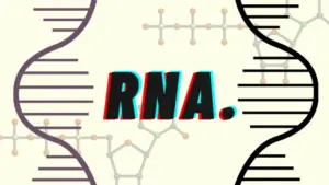 9 Reasons Why RNA Is So Important To Life On Earth