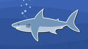 How Do Sharks Mate? All You Need To Know