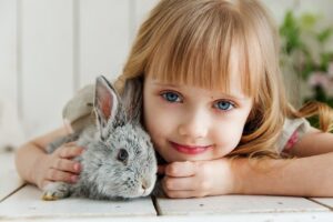 Why do Rabbits bite? Here Are The Answers!