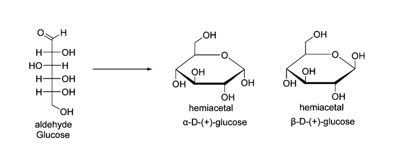 How Do Animals Store Glucose Do Animals Make Glucose How do animals store glucose do animals make glucose
