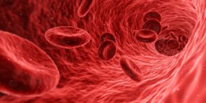 Do Red Blood Cells have Nucleus and Mitochondria? And if not present, then why? Let’s Know!