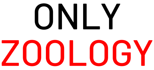 ONLY ZOOLOGY – (Know, Learn, Explore Zoology)