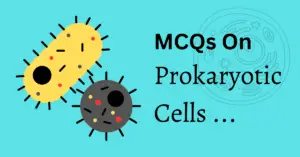 50+ Cell Biology MCQs On – Prokaryotic Cells