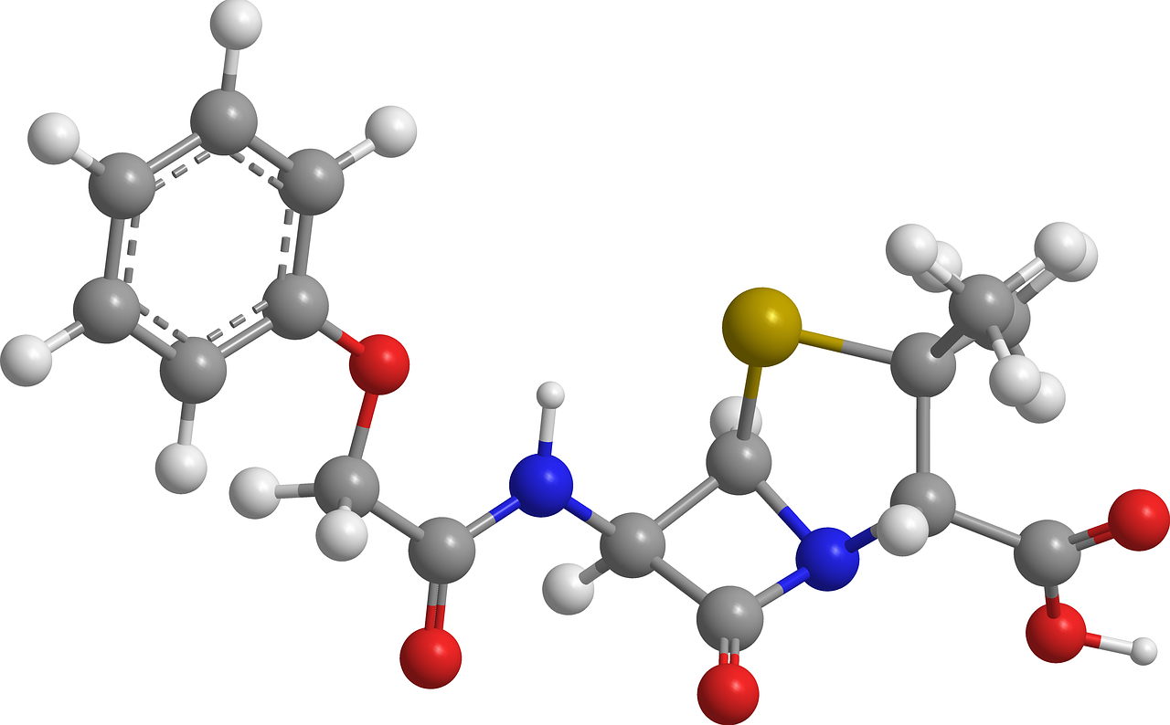 Evolution of Antibiotic Resistance: Causes and Solutions - (ONLY ZOOLOGY)