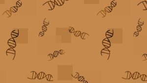 biology, dna, genetics, genetic sequence, heredity, chromosome, genes, science doodles, educational-scientific illustration, science is fun, doodle background, dna, heredity, genes, genes, genes, genes, genes