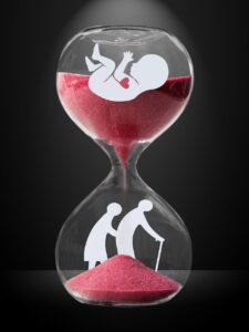 life cycle, growth, hourglass, time, life, embryo, old people, seniors, evolution, development, people