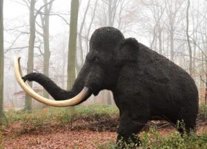 mamut, mammal, extinct, animal, pachyderm, nature, mamut, mamut, extinct, extinct, extinct, extinct, extinct