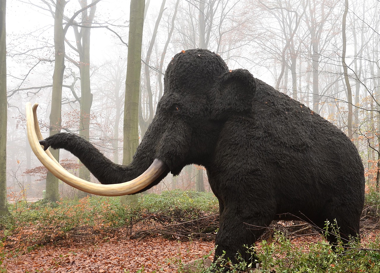 Mass Extinctions: Causes and Evolutionary Consequences - (ONLY ZOOLOGY)