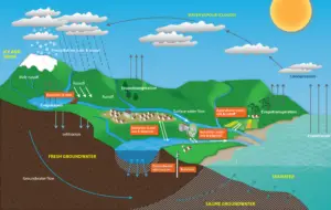 Water Cycle: Steps, Importance, and Global Impact