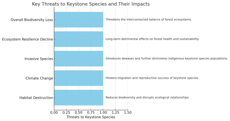 Keystone Species in Forest Ecosystems: Their Role in Stability - (ONLY ...