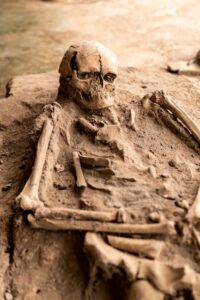 Unearthed human skeleton in archaeological dig site, showcasing historical burial practices.