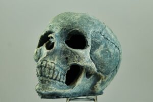 Detailed view of an ancient skull with rugged texture, highlighting eerie features.