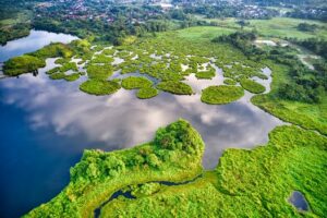 Picturesque aerial view of lush greenery and water landscape in Banten, Indonesia.