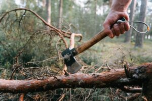 Close-up of a hand holding an axe, chopping a fallen tree log in a lush forest setting.