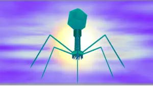 bacteriophage, virus, biology, microbiology, medical, phage, 3d, science, scientific, virology, health, infection, bacteriophage, bacteriophage, bacteriophage, bacteriophage, bacteriophage, phage, phage, phage