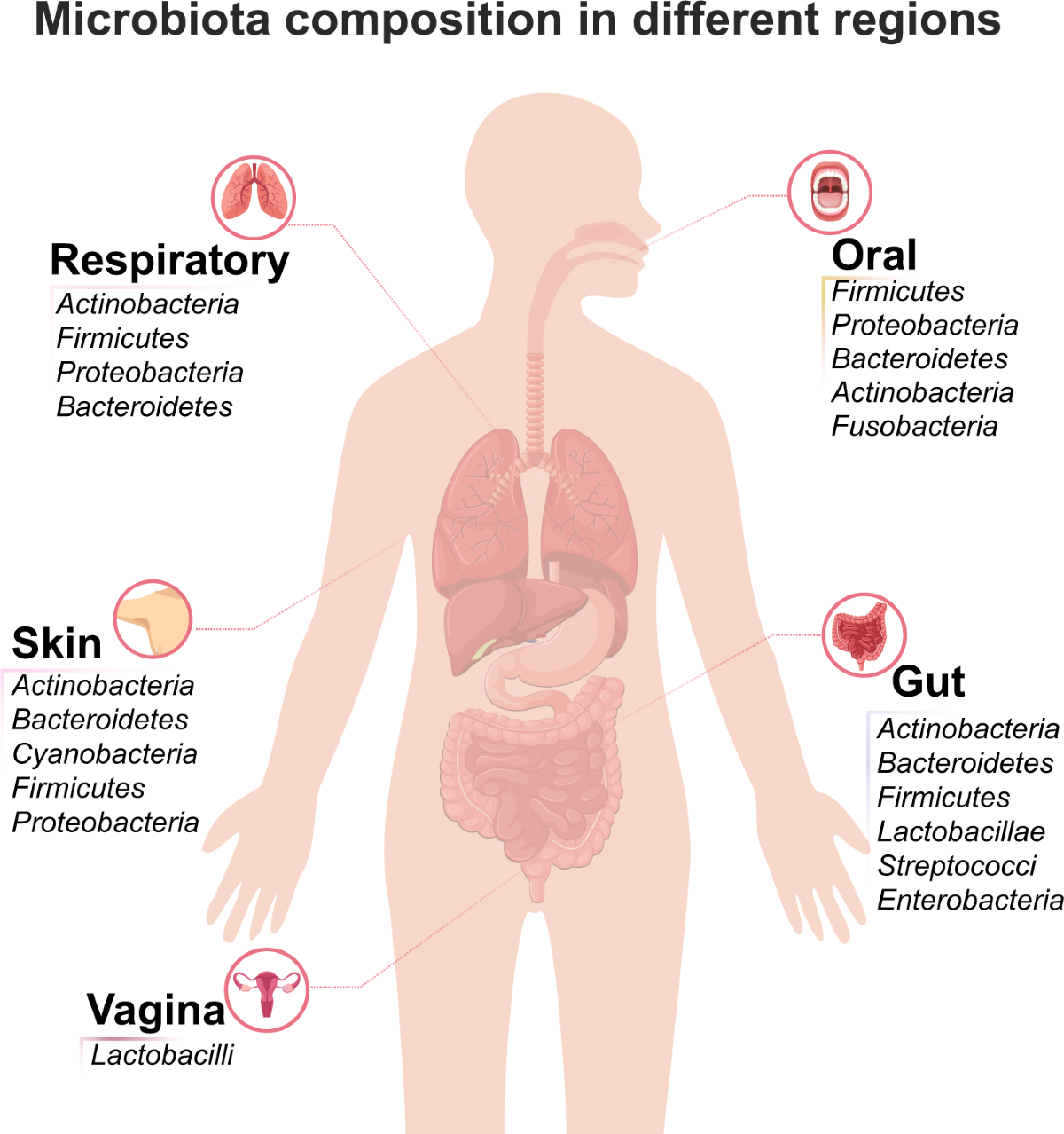 Pathogenic Bacteria: Types, Transmission, and How They Cause Disease ...