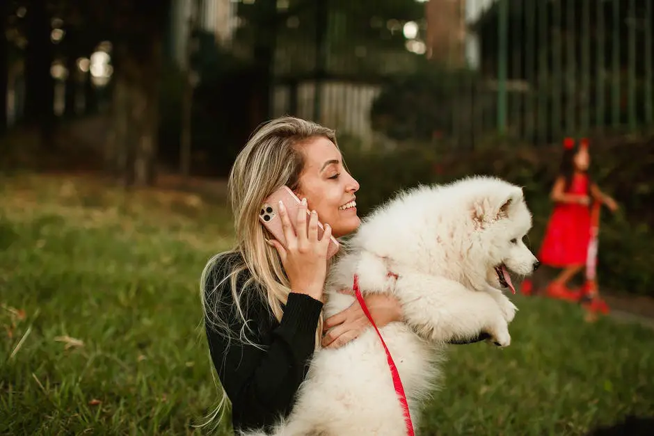 An image of a person calling a dog's name and the dog looking at the person in response.