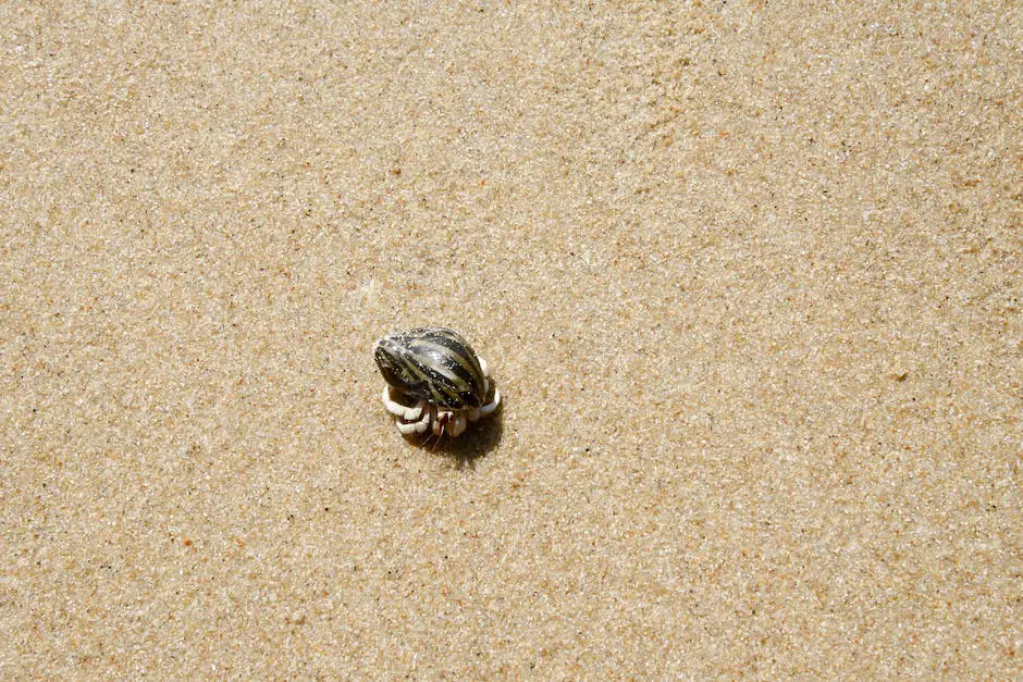 Image of a healthy hermit crab crawling on the sand